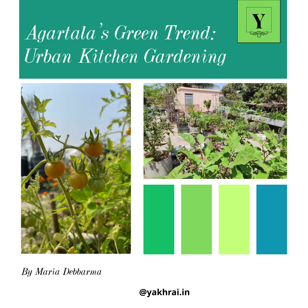 Urban Kitchen Gardening (1)