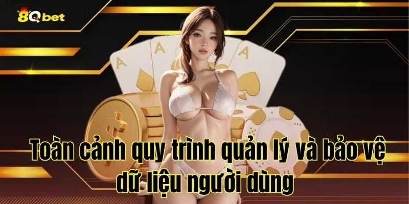 Toàn cảnh quy trình quản lý và bảo vệ dữ liệu người dùng